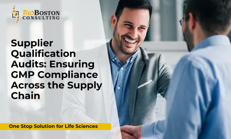 Remote supplier audit using digital tools