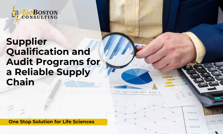 Supplier qualification and audit program for life sciences compliance