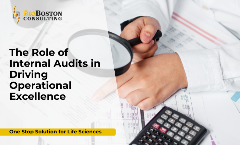 The Role of Internal Audits in Driving Operational Excellence