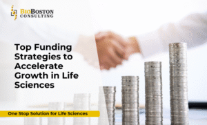 Life sciences funding strategies for biotech and pharma companies