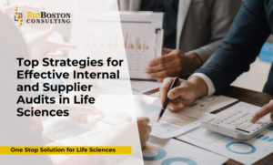 Internal audit team reviewing GMP compliance documentation