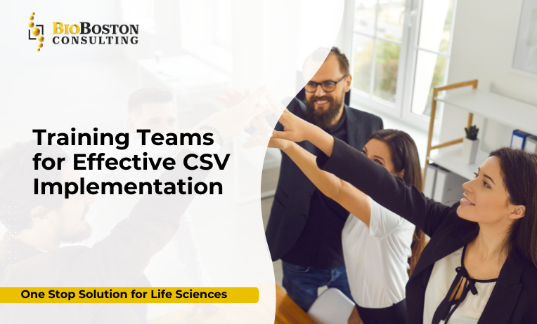 Training Teams for Effective CSV Implementation