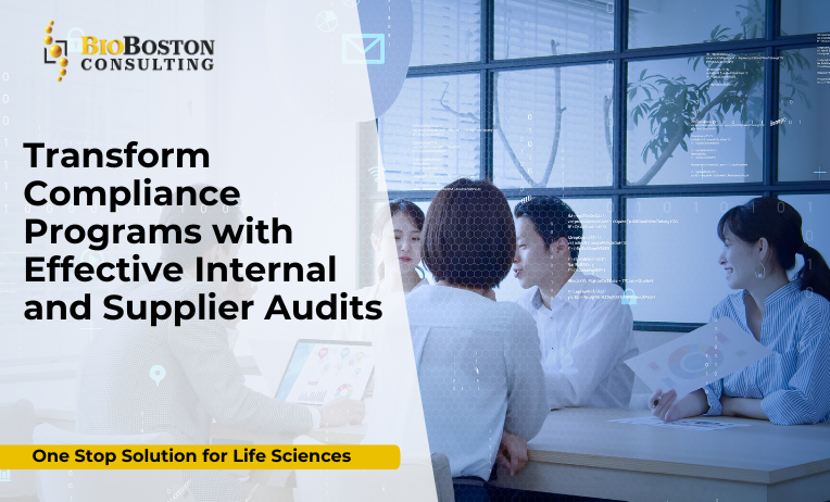 Internal and supplier audits for life sciences compliance programs