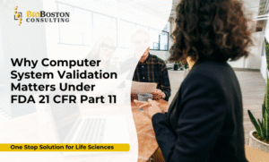 Computer System Validation CSV FDA 21 CFR Part 11 compliance