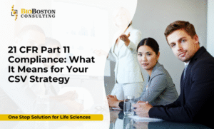 21 CFR Part 11 compliance CSV,” “CSV for LIMS ERP MES systems