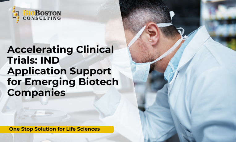 IND Application Support for Biotech Companies – BioBoston Consulting