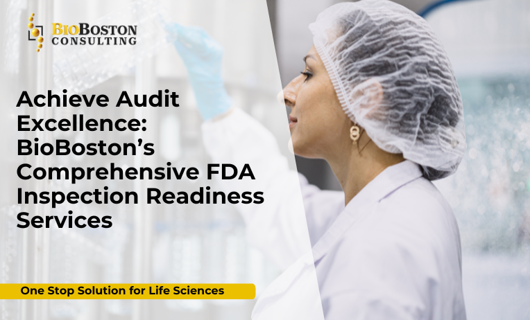 BioBoston Consulting team reviewing SOPs for FDA inspection readiness