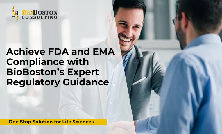 FDA and EMA compliance roadmap for biotech and pharmaceutical companies by BioBoston Consulting