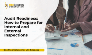 "Audit readiness process for FDA and EMA inspections in biotech"