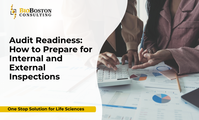 "Audit readiness process for FDA and EMA inspections in biotech"