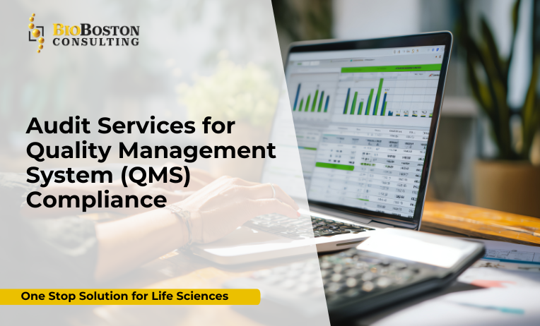 QMS audit process for pharmaceutical compliance