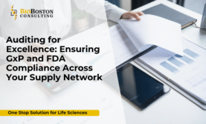Supply network audits for GxP and FDA compliance with BioBoston Consulting