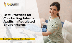 Understanding Internal Audits in Regulated Environments