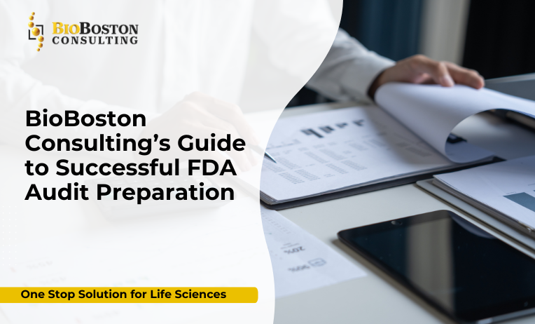 FDA audit preparation process for life sciences