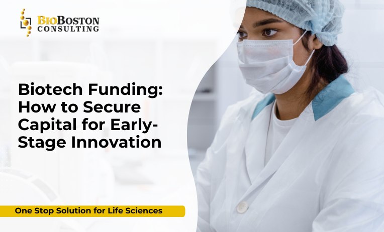 Investment-Ready Business Plans and Regulatory Strategies