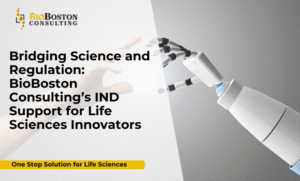 Empowering Innovation Through Regulatory Excellence