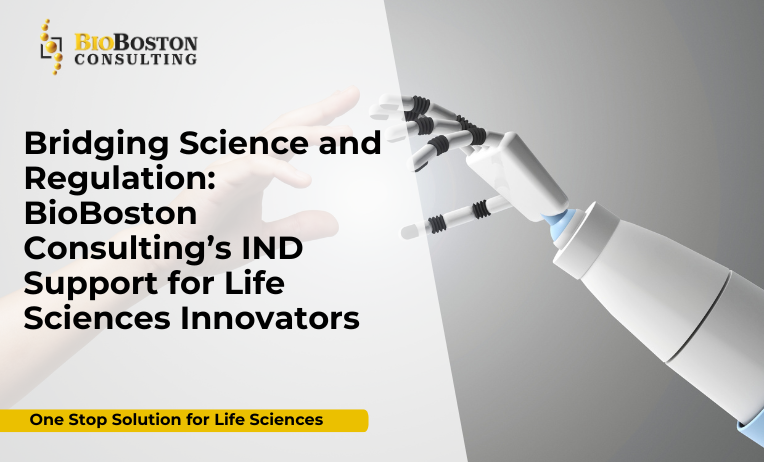 Empowering Innovation Through Regulatory Excellence