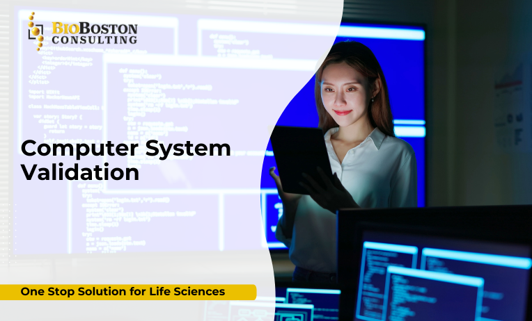 CSV consultant ensuring FDA 21 CFR Part 11 compliance