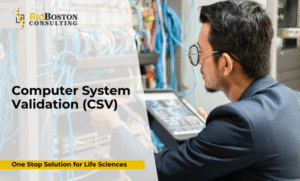 CSV compliance consulting for FDA 21 CFR Part 11 and EU Annex 11