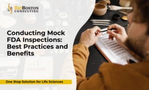 Mock FDA inspections for life sciences compliance