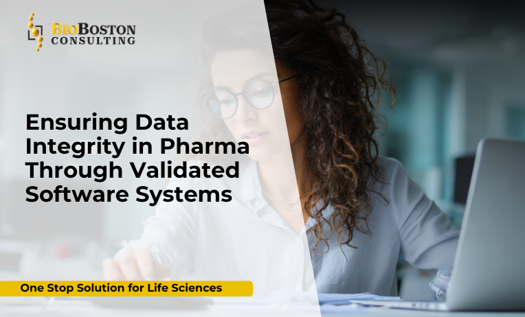 o Example: alt="Validated software systems ensuring data integrity in pharma