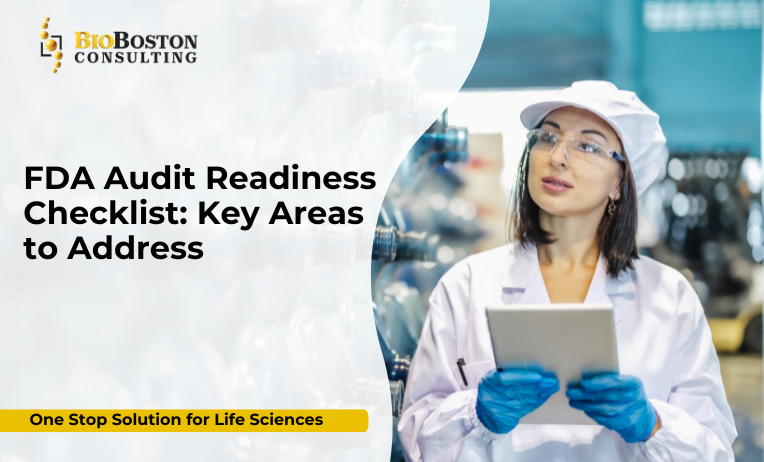 FDA audit readiness checklist for pharma and biotech - BioBoston Consulting