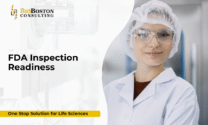 Life sciences team preparing for FDA audit and compliance review