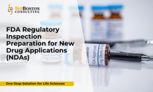 FDA NDA inspection preparation by BioBoston Consulting