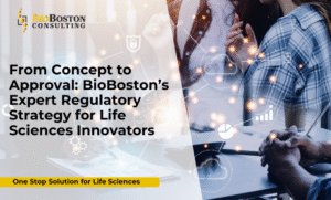 Life sciences regulatory strategy roadmap for FDA and IND approvals by BioBoston Consulting