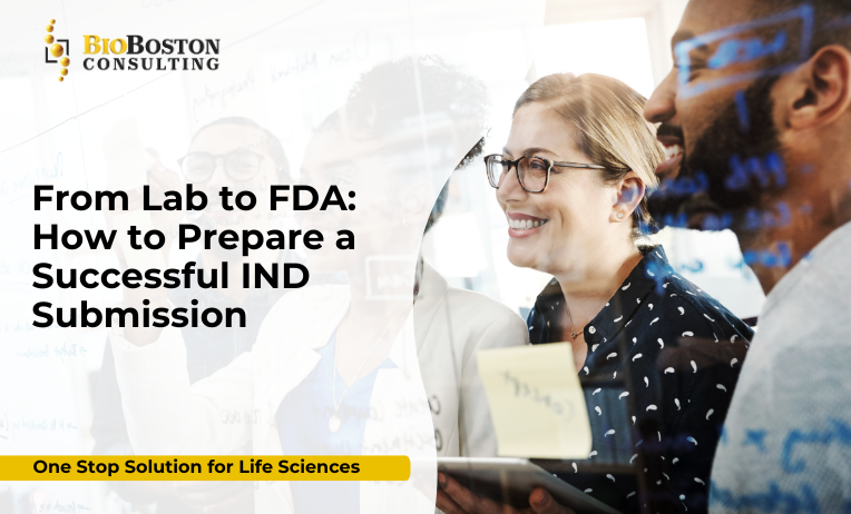 IND submission consulting