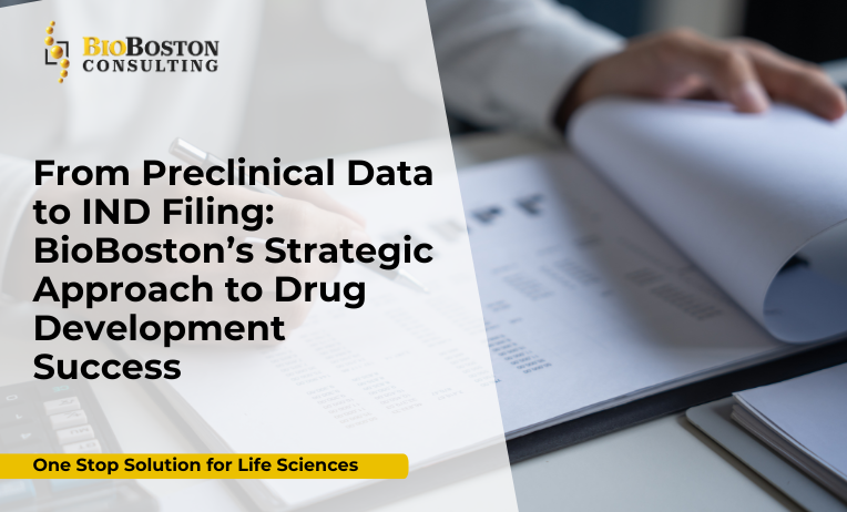 IND Submission and FDA Approval Strategy