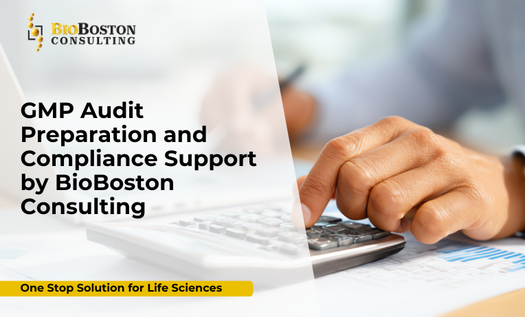 GMP Audit Preparation and Compliance Support