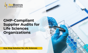 GMP-compliant supplier audit in biopharma industry
