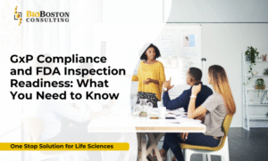 GxP compliance and FDA inspection readiness consulting - BioBoston Consulting