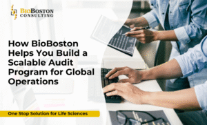 "How can BioBoston Consulting support global audit programs?