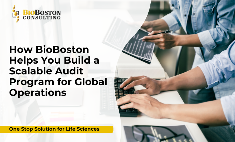 "How can BioBoston Consulting support global audit programs?