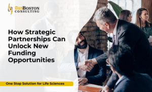 How to Identify the Right Partnerships