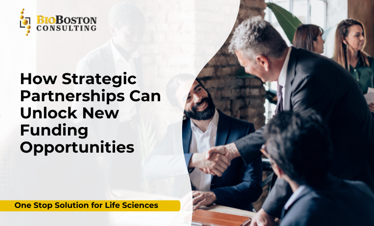 How to Identify the Right Partnerships