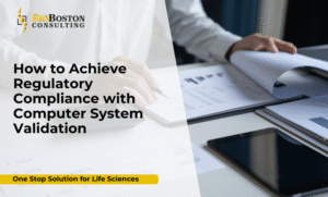 Computer System Validation (CSV) for FDA 21 CFR Part 11 compliance