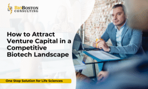 Preparing Investor-Ready Business Plans and Regulatory Strategies