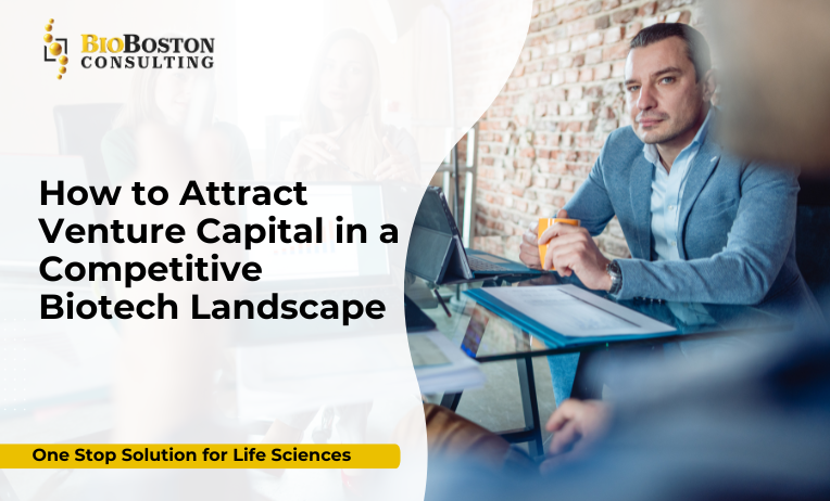 Preparing Investor-Ready Business Plans and Regulatory Strategies