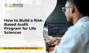 On-Site and Remote Audit Execution