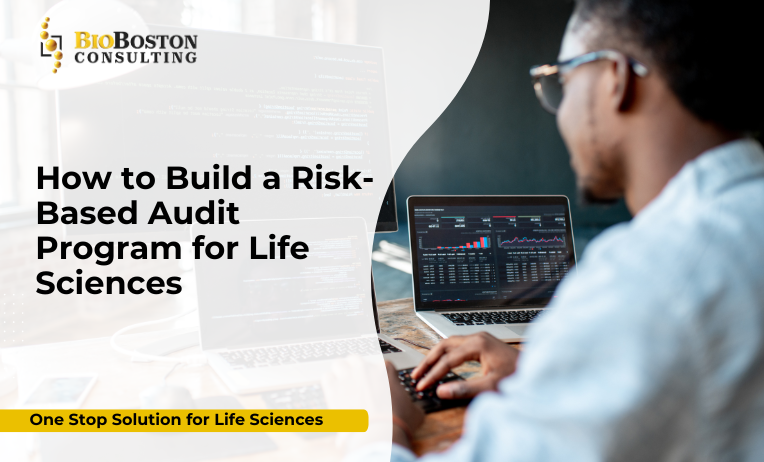 On-Site and Remote Audit Execution