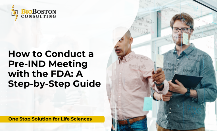 Pre-IND meeting FDA preparation