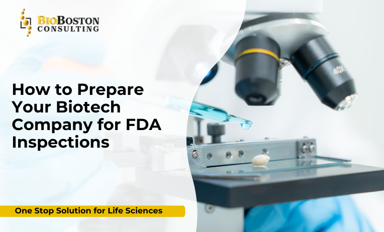 FDA inspection readiness consulting for biotech companies