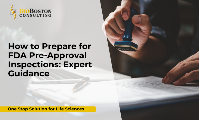 How to Prepare for FDA Pre-Approval Inspections: Expert Guidance