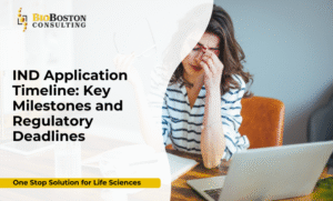 IND application timeline consulting