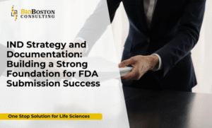 Biotech experts preparing IND submission documentation for FDA