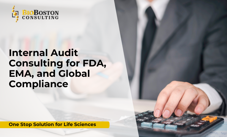 Internal audit consulting for FDA, EMA, and global compliance