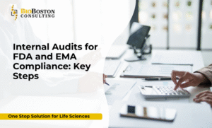 Life sciences internal audit process for FDA and EMA compliance
